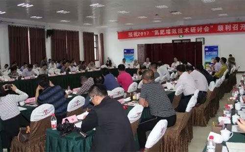 正規(guī)化肥企業(yè)迎來新機遇,下半年更看好國內(nèi)市場